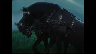 Elias x Dorien De Kesel x Wannes Vanspauwen & Pol De Plecker – “The End”