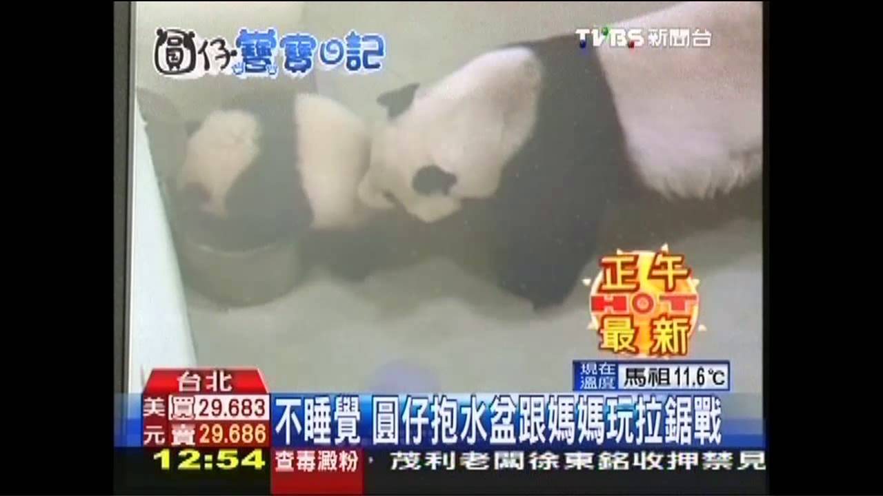不睡覺 圓仔抱水盆跟媽媽玩拉鋸戰
