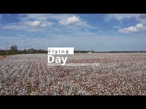 Mavic 2 Pro day of Flying Around the Cotton Fields