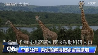 中國網友湧入美駐中大使館微博 抱怨股市如「刑場」