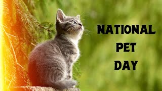 Pet Day Whatsapp Status