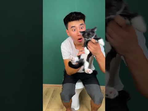 I helped him 😢kitty 🐈🐈‍⬛