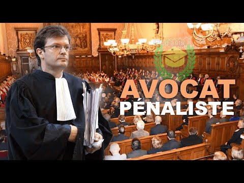 MOIS D'ORIENTATION - Avocat pénaliste - Christian Saint-Palais