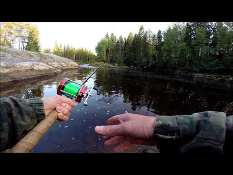 Lupatarkastajalta menee hermo