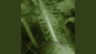 Shadowed Dreams
