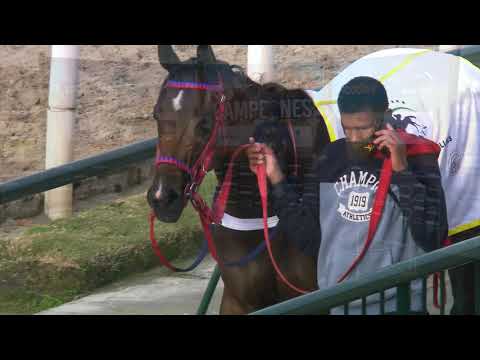 210606 c04  JUVENILE FILLIES/ NOPAYA NAA