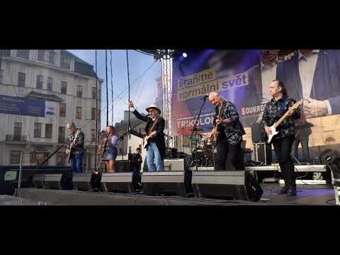Žlutý pes  - Sametová