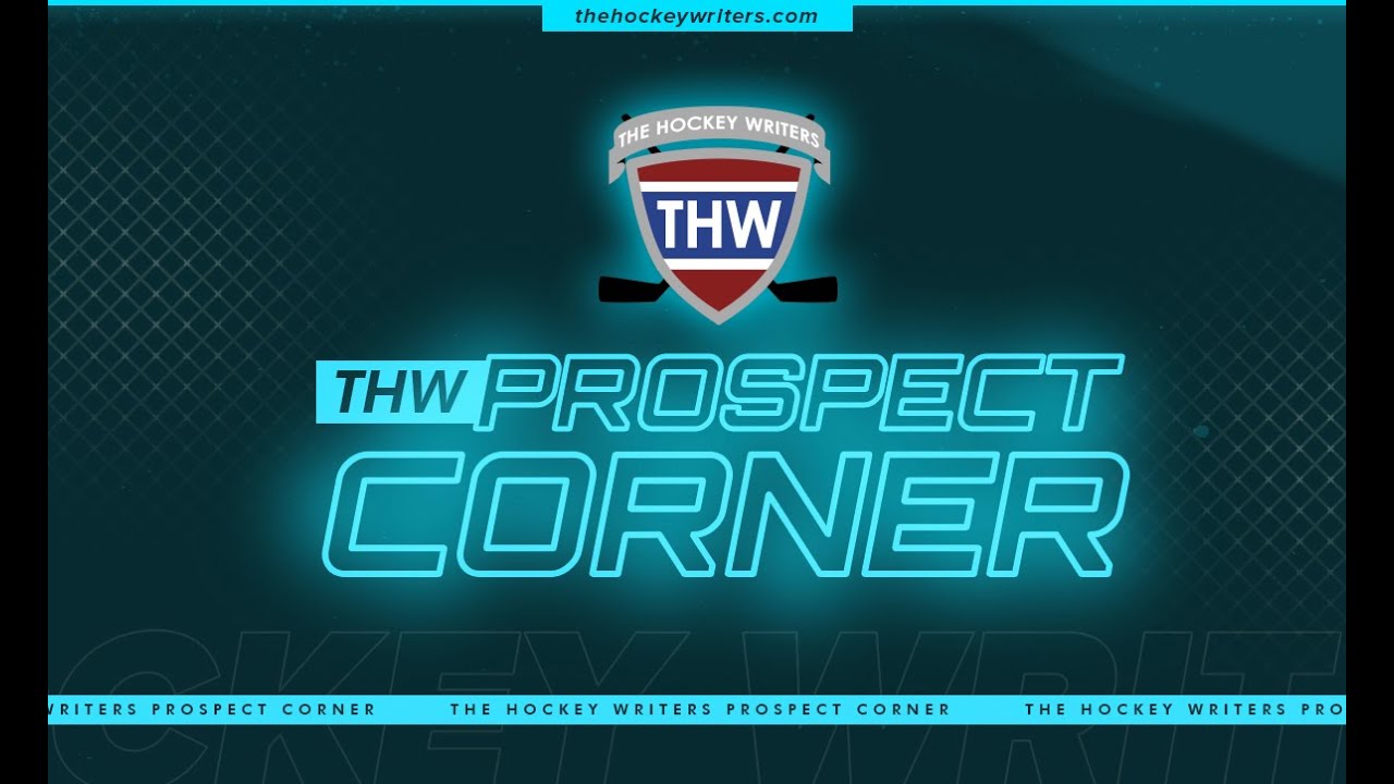 NHL Farm System Rankings, Top 10 Goalie Prospects Preseason Update & More | THW Prospect Corner