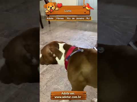 Vídeo de Luna