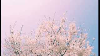 이승환 Lee Seung Hwan - 아무말도 Say Anything