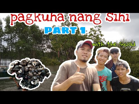 PANGUNGUHA NANG SIHI SA MANGROVES PART 1