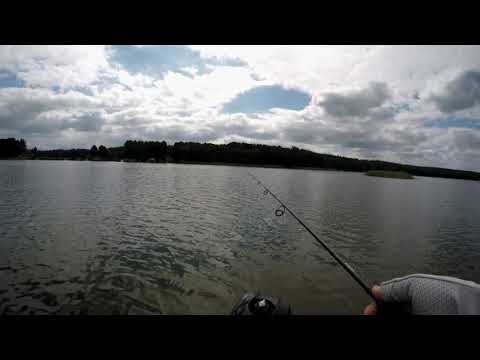 Mid Strolling auf Zander ミドストで ザンダー