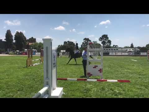 Stacey & Sonny 2018 Equitana OTT Andrew Hoy Masterclass