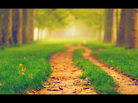 Que seas mi hogar - Letra