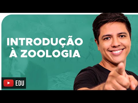 ZOOLOGIA - CONCEITOS BÁSICOS - Reino Animalia - Prof. Kennedy Ramos