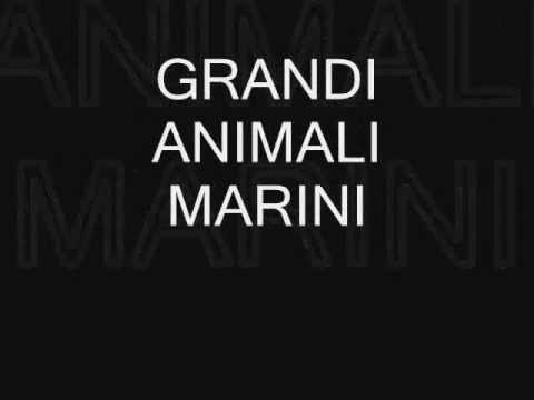 Grandi Animali Marini. Il nuovo disco: Indiscrezioni