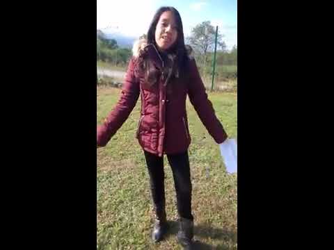 My Experience Ingles Etapa 4