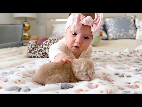 YouTube 썸네일