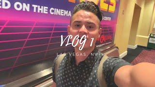 preview picture of video 'I TOOK A TRIP TO Las Vegas, NV VLOG:1'
