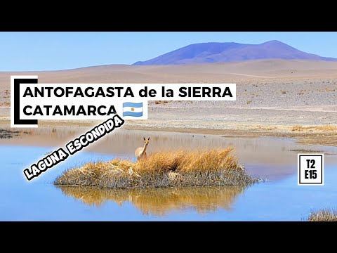 ANTOFAGASTA de la SIERRA, conociendo LAGUNA ESCONDIDA. CATAMARCA 🇦🇷 