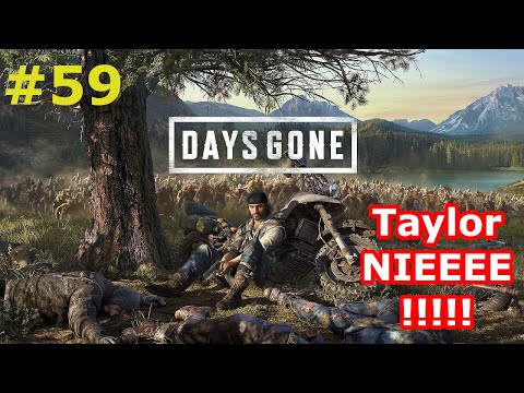 Zagrajmy w Days gone | Taylor co żeś odwalił? | PS4 Pro | #59