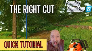 How to Cut Down a Tree? - QUICK TUTORIAL -  Farming Simulator 22