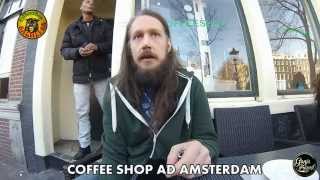 AMSTERDAM COFFEE SHOP - INTERVISTA A DEALER