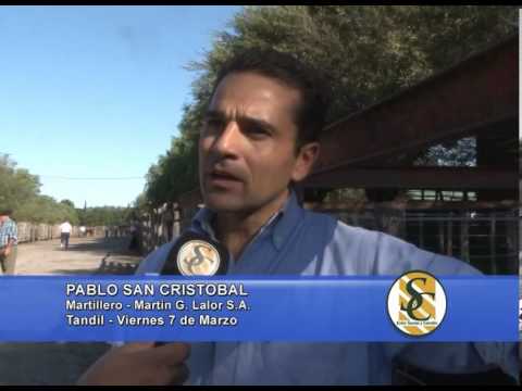 07 03 14  Pablo San Cristobal - Martillero - Martin G. Lalor S.A.