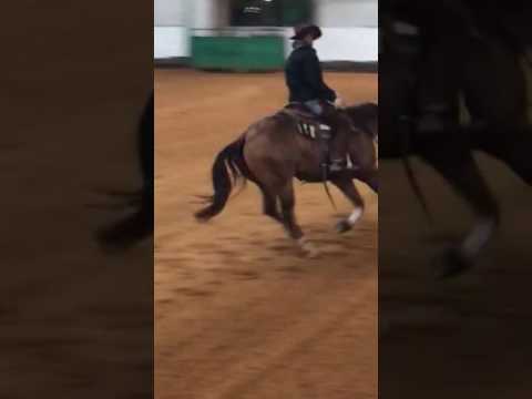 Austin Rouse and Shiny Chexy Chic