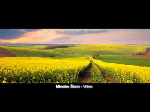 Miroslav Škoro - Vrime