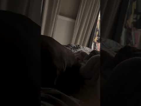 Would be surprised to learn Saturday started with a temper?