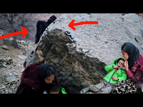 A terrible thing happened to Fatemeh and Shahryar and a terrible creature came to them