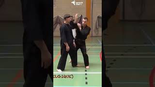 Download lagu Demonstrasi pencak silat eropa yang menarik untuk ditonton #shorts #youtubeshorts #pesilat mp3