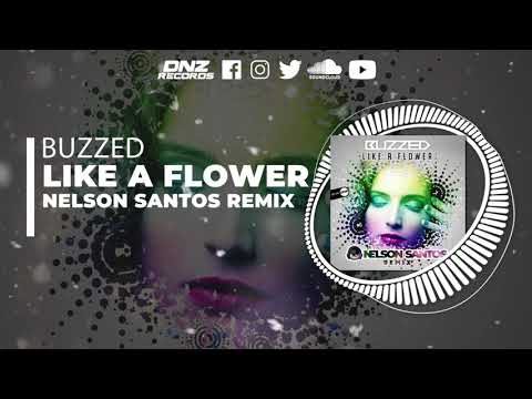 DNZF1096 // BUZZED - LIKE A FLOWER NELSON SANTOS REMIX (Official Video DNZ RECORDS)