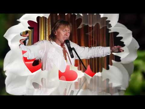 Chryzantemy, moje chryzantemy