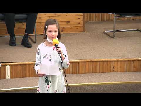 Vreau sa cant - Anna Danut -