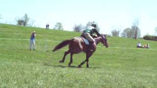 preview picture of video 'Rolex KY 4-25-09 - Hedges Tryon Leyland'