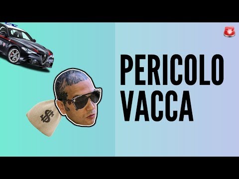 AIUTO! PERICOLO VACCA! | INTERVISTA HIP HOP TV CON VACCA E WAD [YTP RAP]