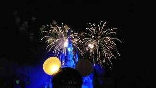 Justin Wiltz's Disney Wishes 2016