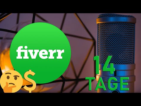 Voldi und ich waren für 14 Tage Verkäufer auf fiverr🎤