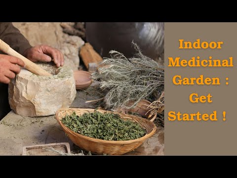 🪴Indoor Medicinal Herb Gardening : Tips for Success