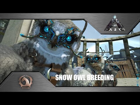 Ark Survival Evolved - Snow Owl Breeding