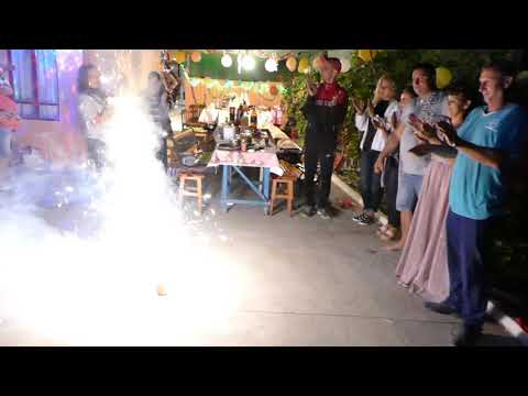 PRIMIREA TORTULUI NUNTA (....OVIDIU & ZONIA %%%TORTUL%%%)