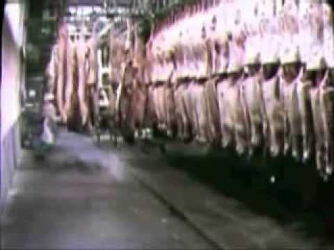 The Greatest Speech Ever Made by Charlie Chapman