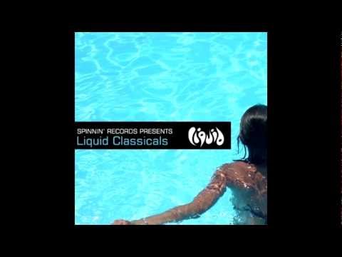 Ron van den Beuken - Timeless (Original Mix)