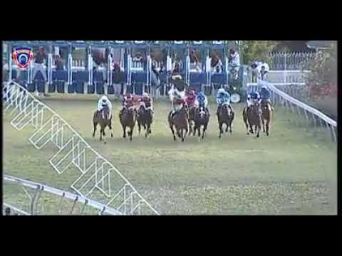 RM30 R8 | All Aboard | M.Nunes