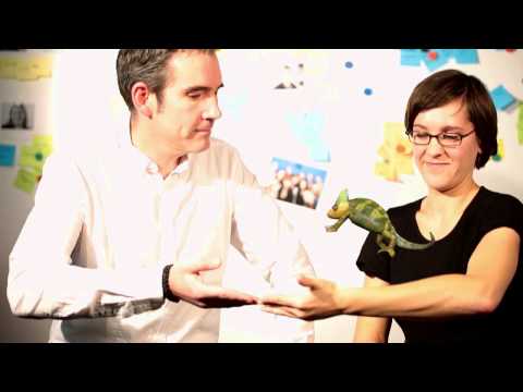 Helden des Alltags - Agile and Project Management bei ImmobilienScout 24