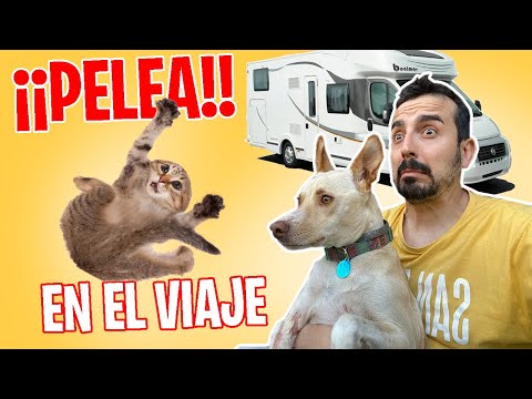 PROBLEMAS en la NUEVA CASA rodante 🥊 + Vlog viaje FAMILIA NUMEROSA viaje en autocaravana