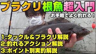  【ブラクリ入門】初心者でも簡単に根魚を爆釣！ブラクリ釣りの知識＆釣り方解説【解説編】