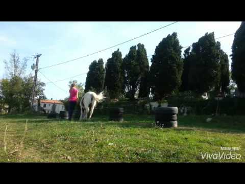 download lagu mp3 mp4 parvin Cheval, download mp3 parvin Cheval free downloadn, video klip parvin Cheval